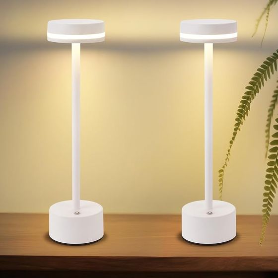 NETTLIFE batteridrevet bordlampe trådløs LED-bordlampe 3000k-6500k dæmpbar sengelampe med USB-C sølvfarvet touch-lampe