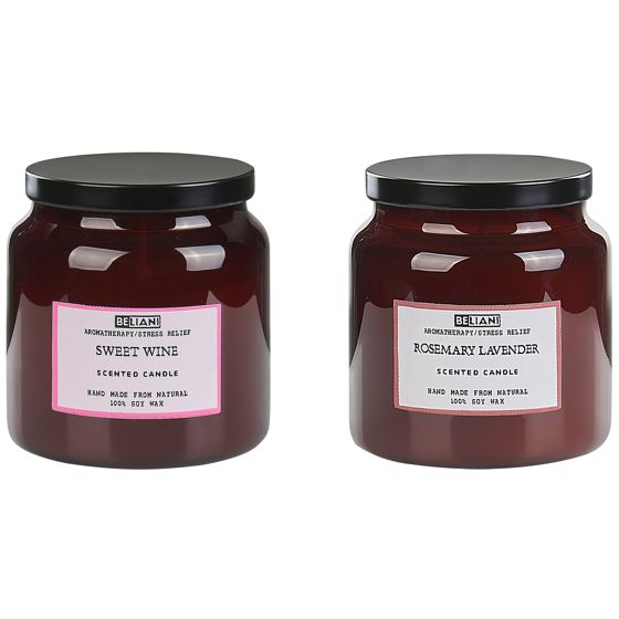 Sæt med 2 duftlys ABSOLUTE ALCHEMY Soja voks Fresh notes