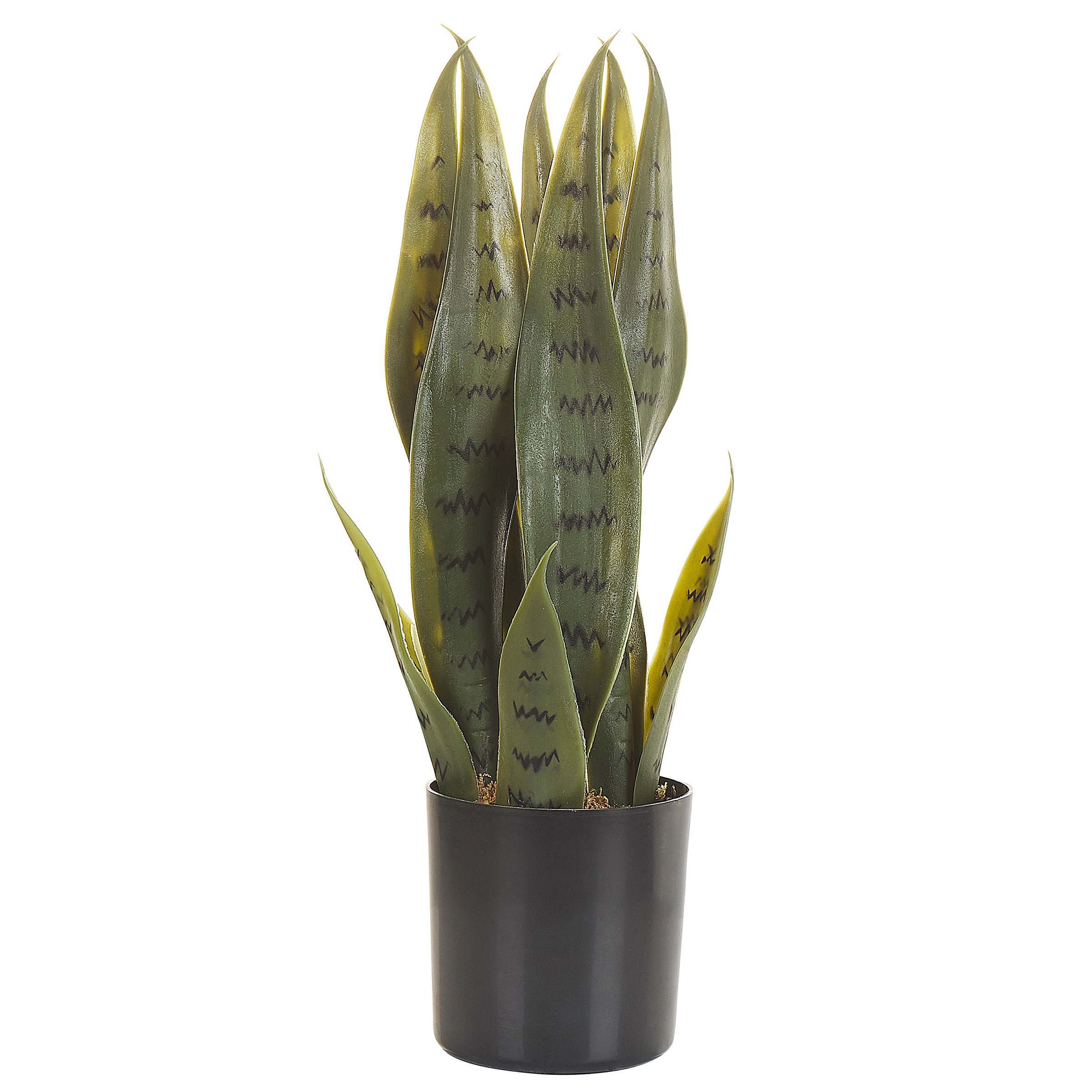 Kunstig plante SNAKE PLANT 40 cm Grøn