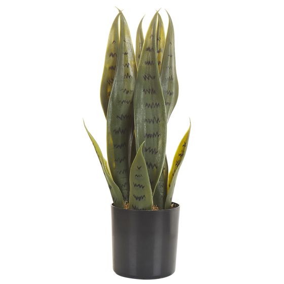 Kunstig plante SNAKE PLANT 40 cm Grøn