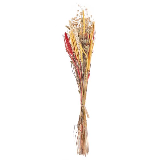 Buket af tørrede blomster PAMPELUNA 65 cm Naturlig