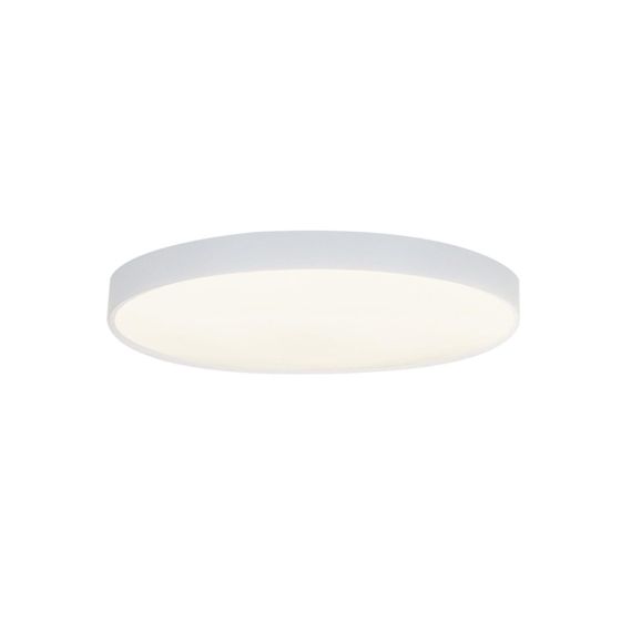 NETTLIFE LED loftlampe, 28 cm, rund, IP44, hvid, 4000 K, 17 W, flad