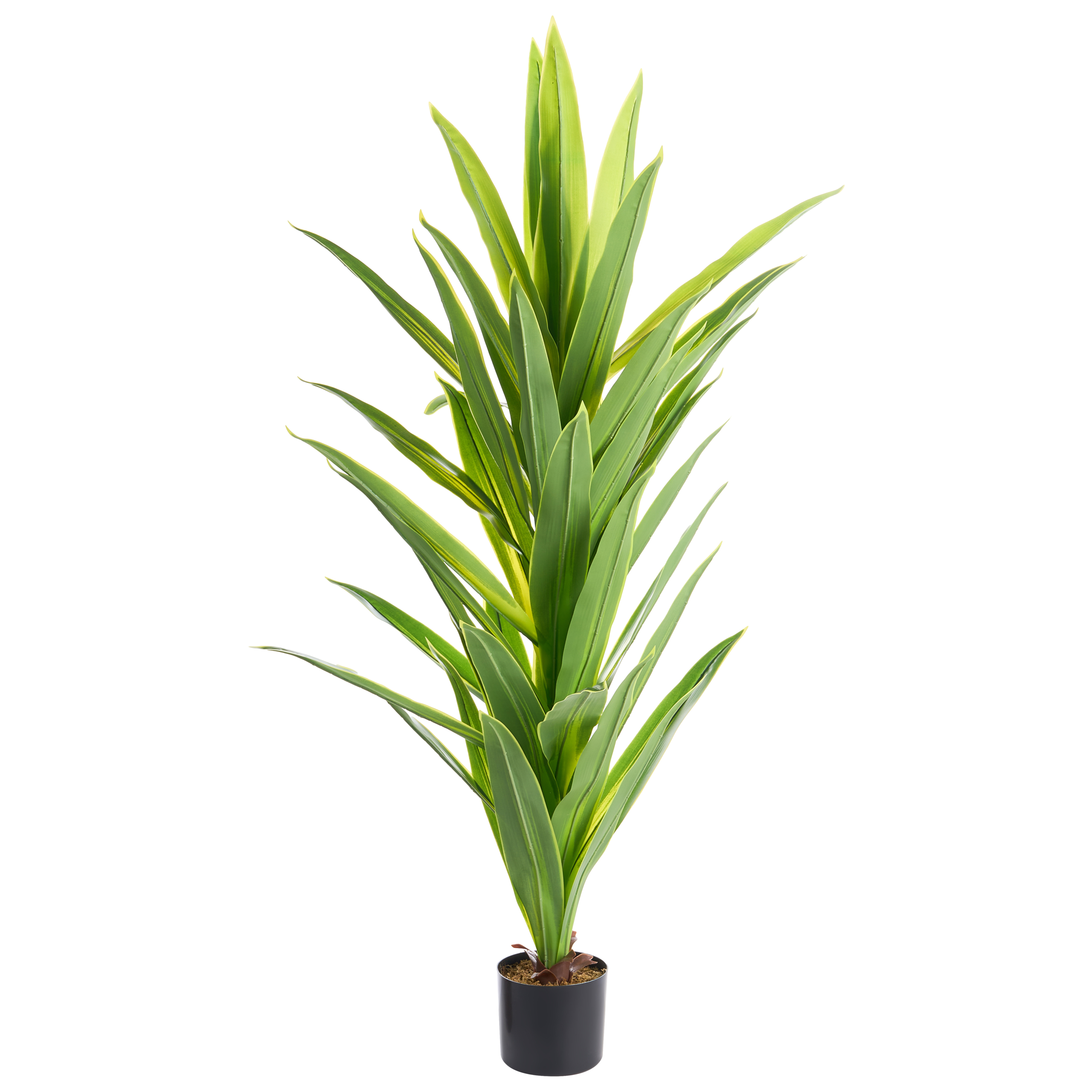 Kunstig plante DRACAENA TREE 150 cm Grøn