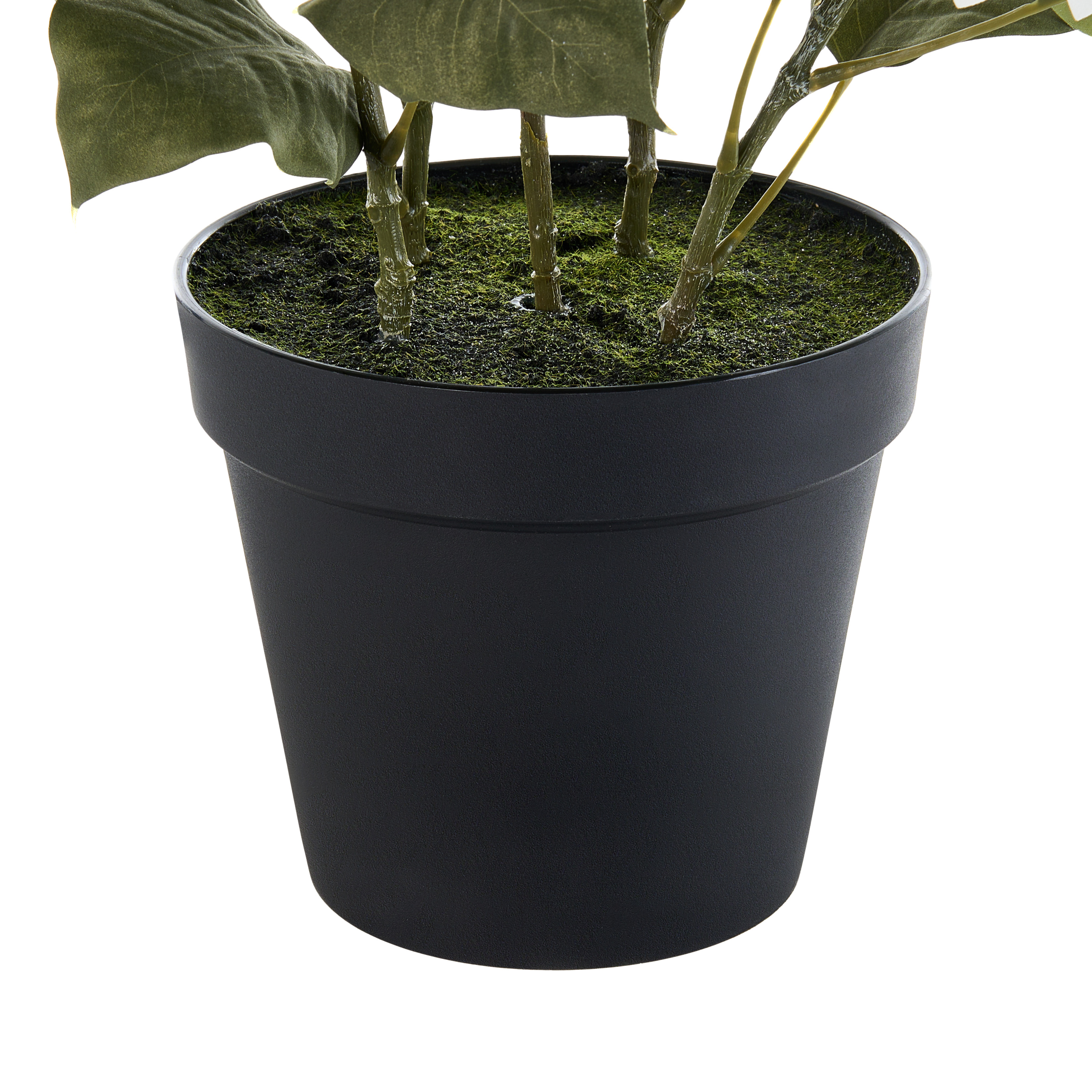 Kunstig plante CHRISTMAS FLOWER 61 cm Hvid
