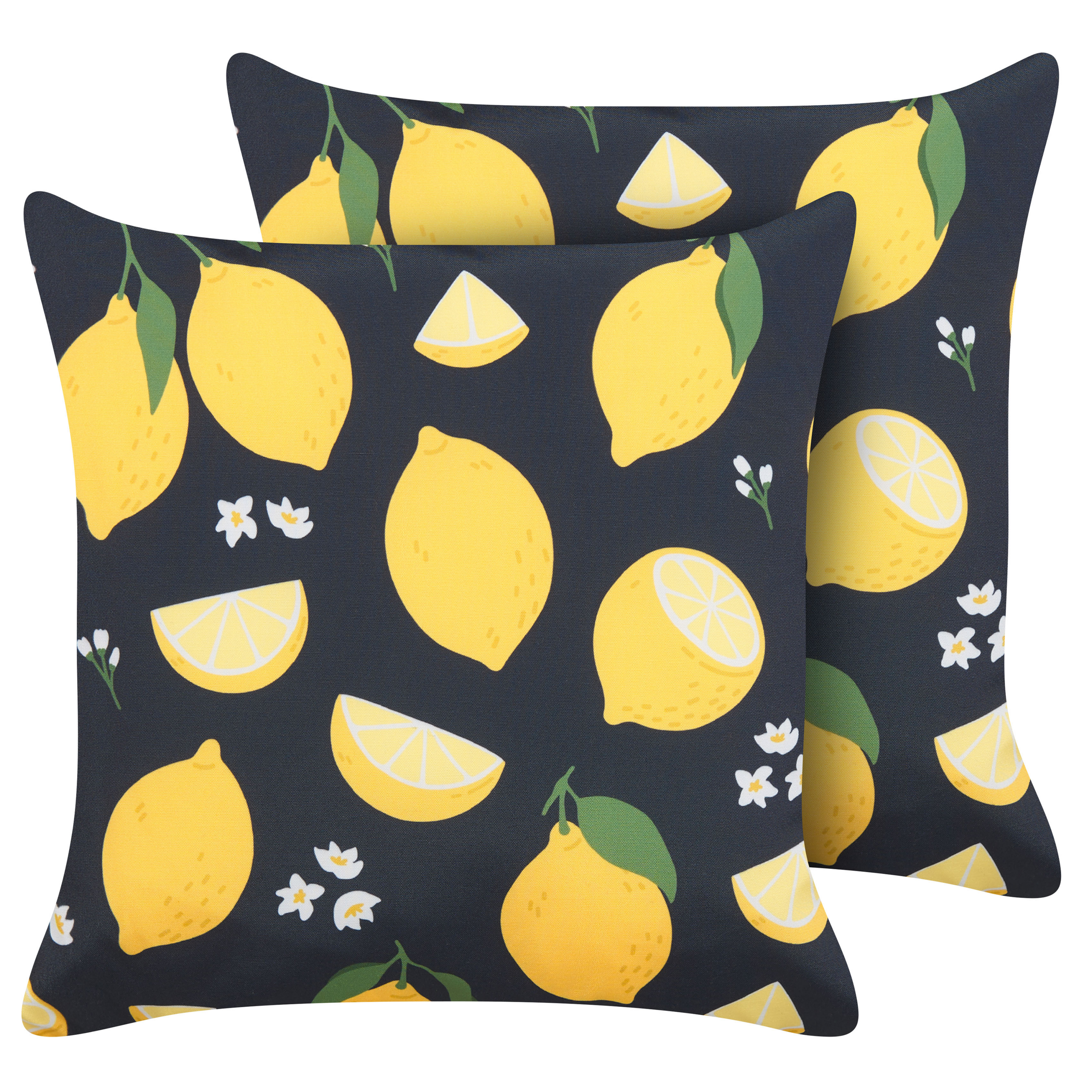 Sæt af 2 pyntepuder CITRUS 45 x 45 cm Sort Plante mønster