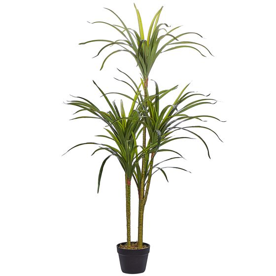 Kunstig plante DRACAENA ANITA 147 cm Grøn