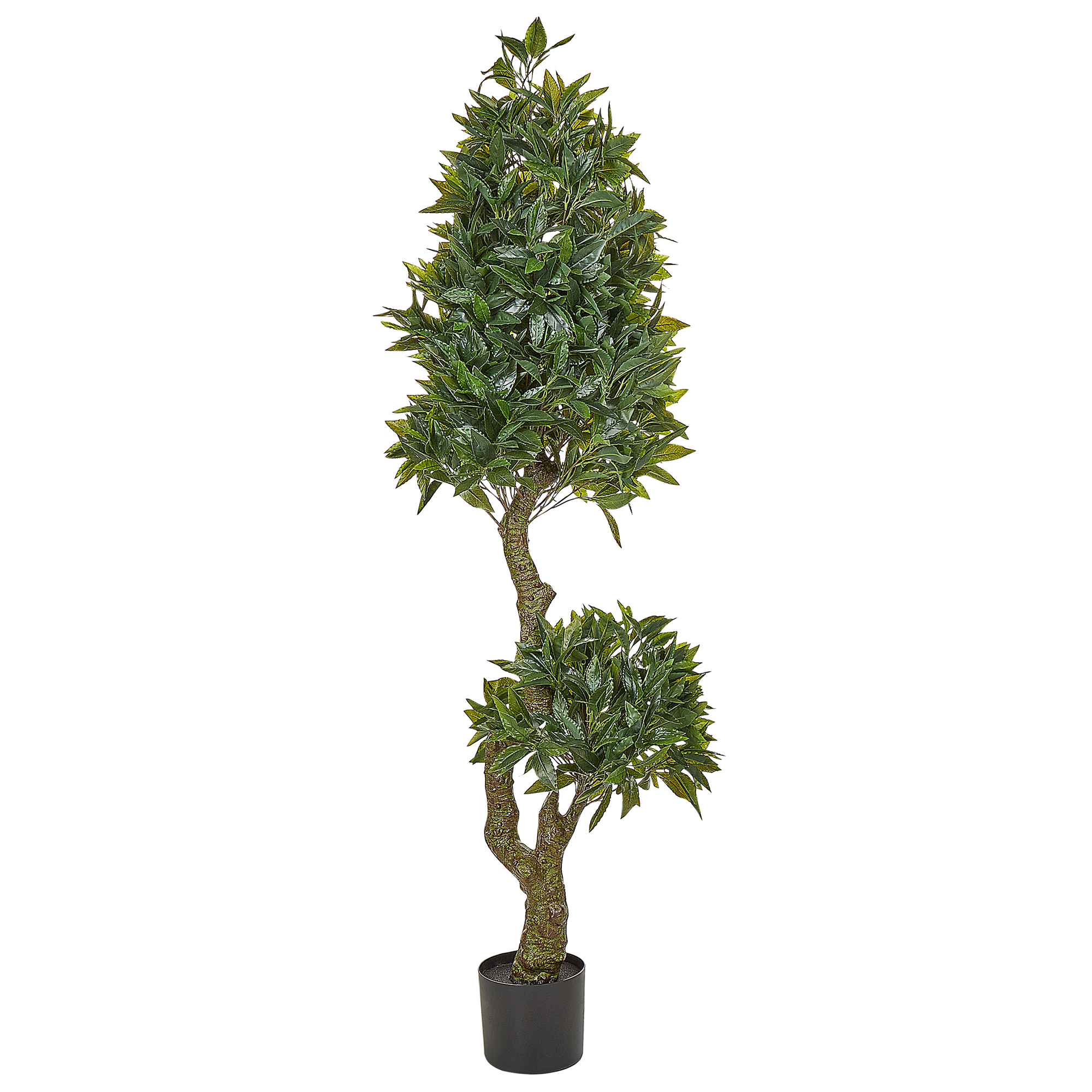 Kunstig plante LAURELE 160 cm Grøn
