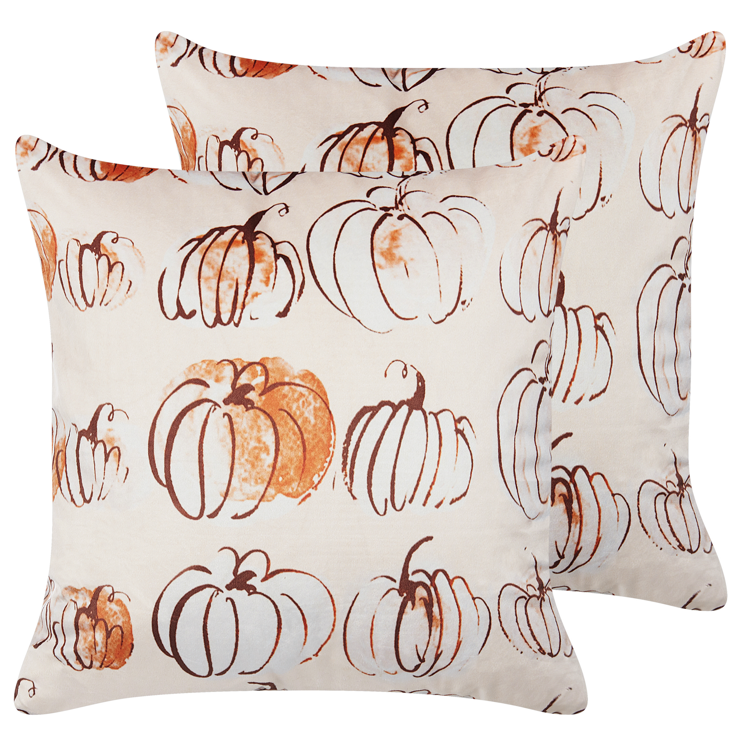 Sæt af 2 pyntepuder CUCURBITA 45 x 45 cm Velour Beige Plante mønster