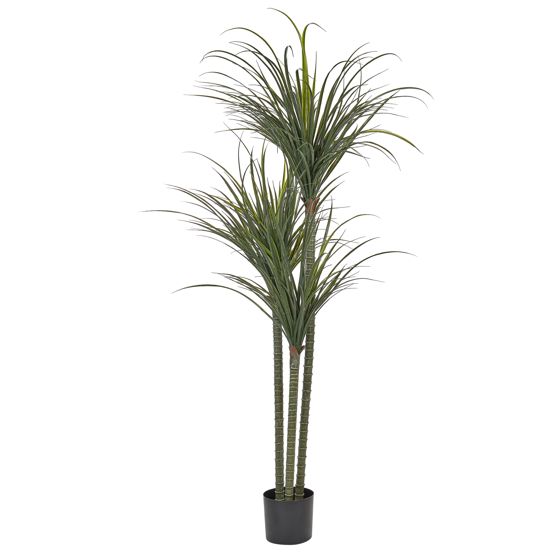Kunstig plante DRACAENA ANITA 198 cm Grøn
