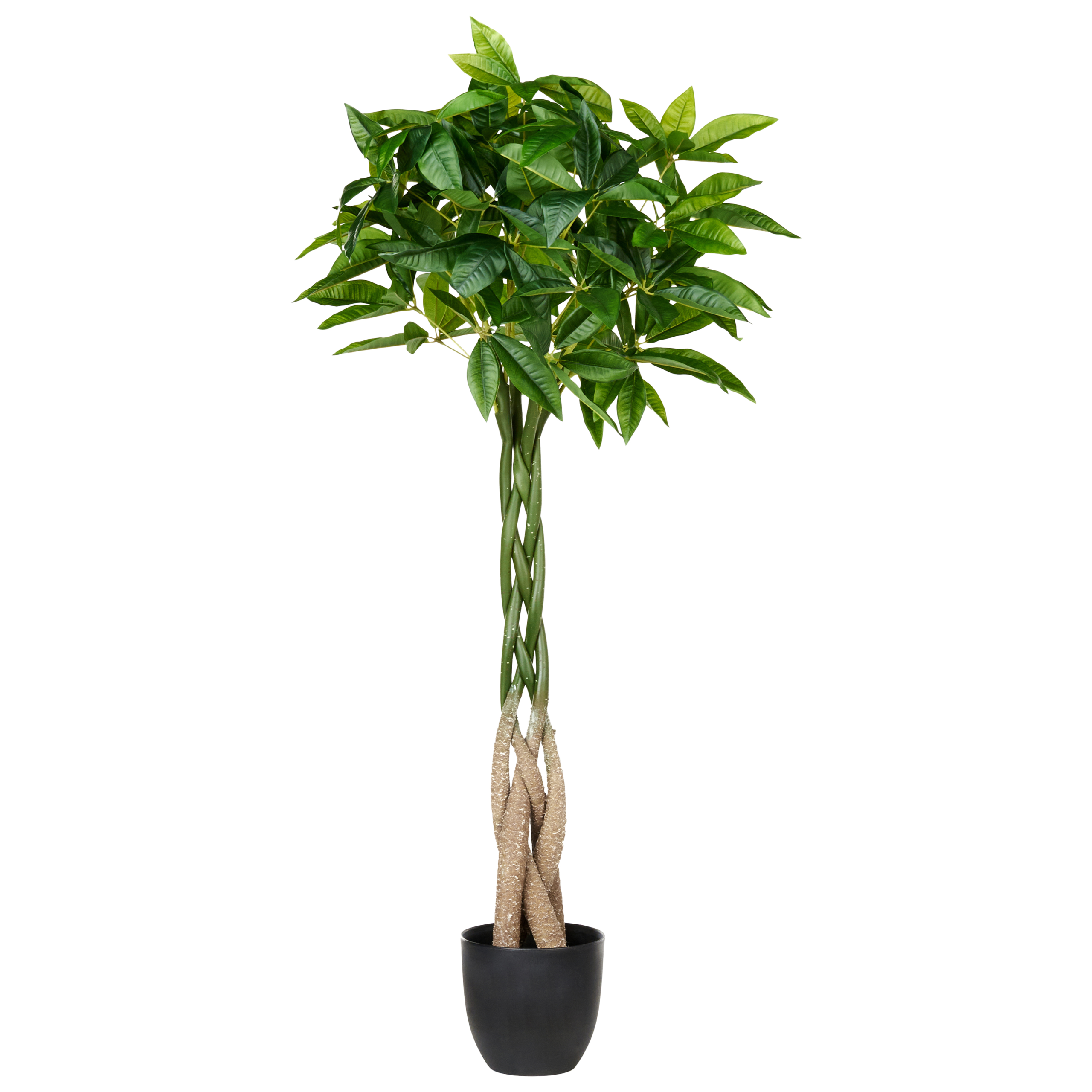 Kunstig plante PACHIRA TREE 120 cm Grøn