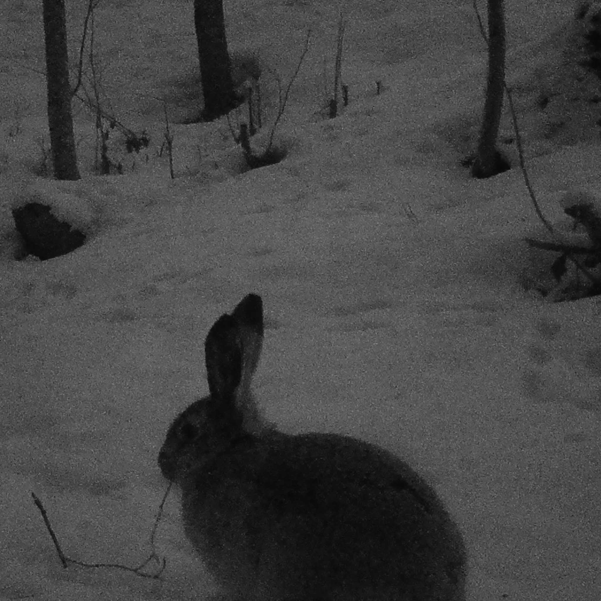 Trekker Vildtkamera MMS 2G Premium